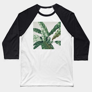 Pattern II Baseball T-Shirt